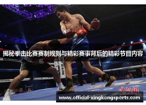 揭秘拳击比赛赛制规则与精彩赛事背后的精彩节目内容