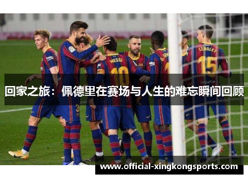 回家之旅：佩德里在赛场与人生的难忘瞬间回顾