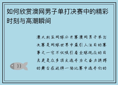 如何欣赏澳网男子单打决赛中的精彩时刻与高潮瞬间